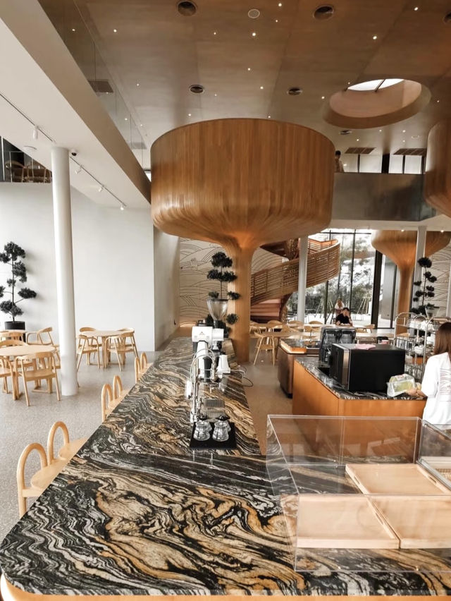 懸空鳥巢地標咖啡館💕San Rafael Café