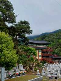 산속에 숨어 있는 알록달록 단청 사찰