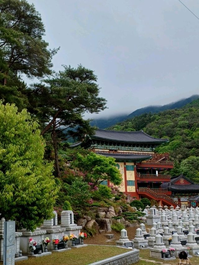 산속에 숨어 있는 알록달록 단청 사찰