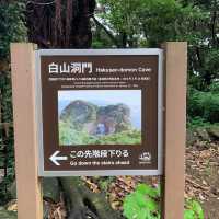 Ashizuri-Misaki Cape: A Coastal Sanctuary of Beauty and History 