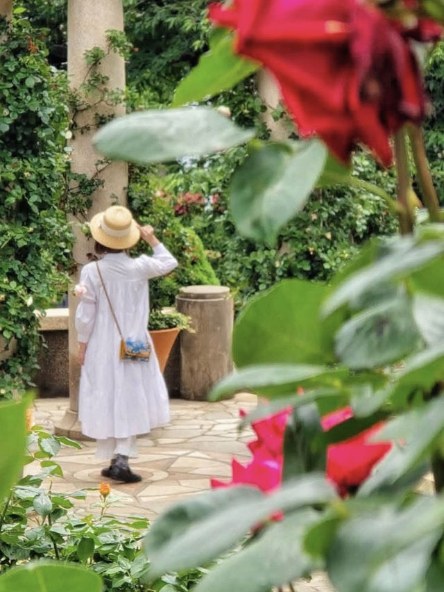 横浜🌹素敵な癒しのスポット🌹港の見える丘公園🥰