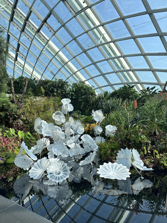แหล่งท่องเที่ยวยอดฮิต Garden by the bay 🇸🇬