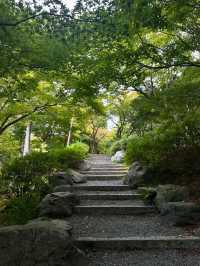Hanging Out at Tofukuji 
