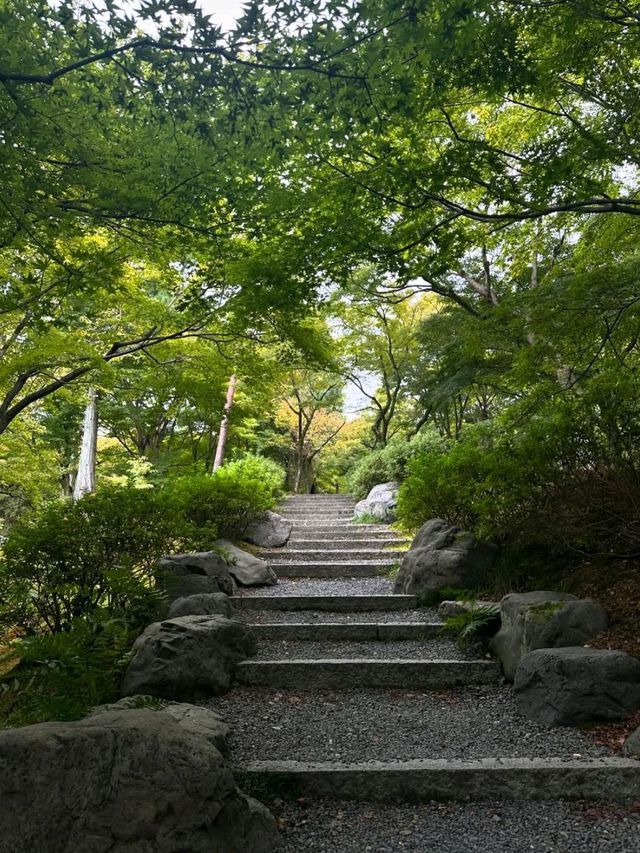 Hanging Out at Tofukuji 