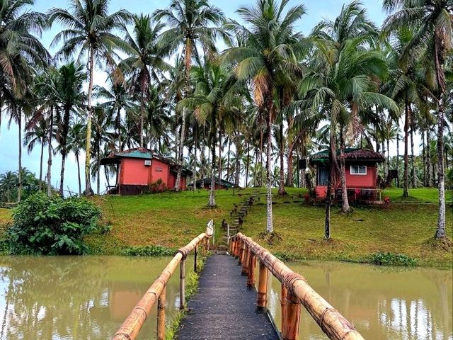 A Quick Escape to Cavinti, Laguna