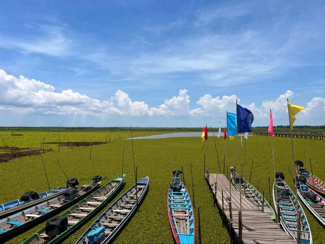 Nature's Symphony at Thale Noi Wetlands