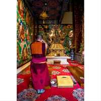 Spiritual Chill Zone