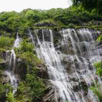 走進增城千龍溝：賞300米銀瀑飛騰，品山野自然之韻