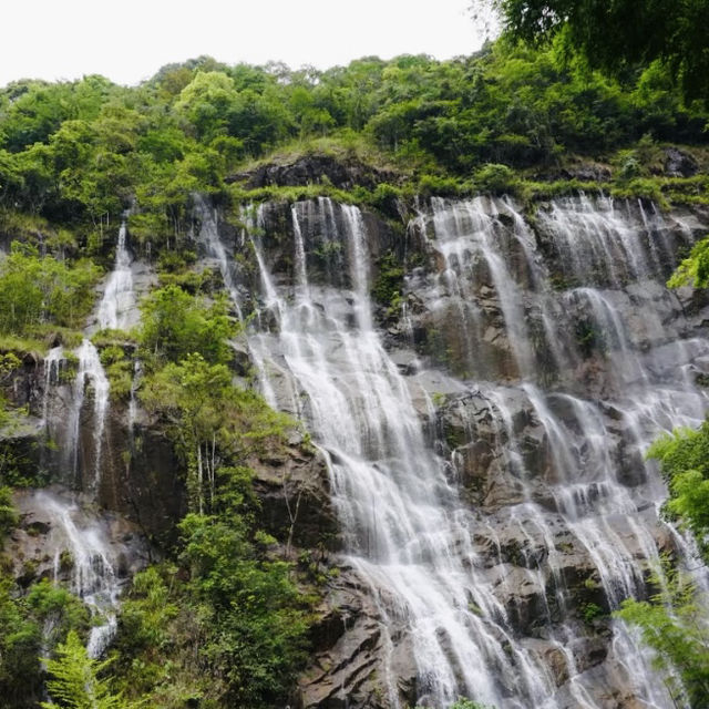 走進增城千龍溝：賞300米銀瀑飛騰，品山野自然之韻