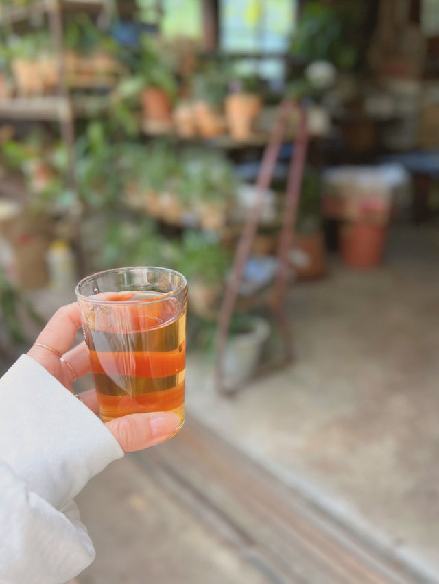 【兵庫/西宮】ジブリなお茶屋でタイムスリップ🤭🍙✨