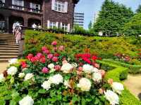 Ueno Park – Tokyo’s Green Gateway to Culture and History