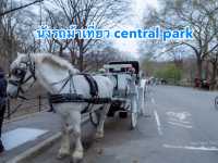 รถม้าพาเที่ยวเซ็นทรัลปาร์ค (Central Park)