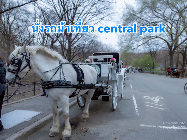 รถม้าพาเที่ยวเซ็นทรัลปาร์ค (Central Park)