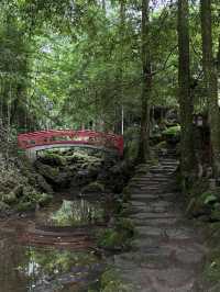 Where to Stay for Peace and Quiet Near Qingcheng Mountain