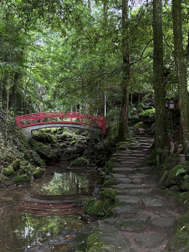 Where to Stay for Peace and Quiet Near Qingcheng Mountain