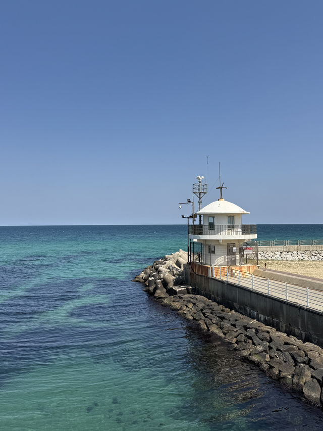 🌊 역사와 바다가 공존하는 도시, 강릉 산책기 🖋️🏖️