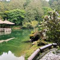 🌿阿里山姊妹潭｜靜謐如詩的山林秘境