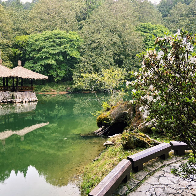 🌿阿里山姊妹潭｜靜謐如詩的山林秘境