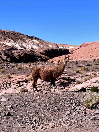 Valle de la Luna – Chile’s Otherworldly Desert Wonderland