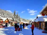 Winter Wonderland: A Stroll Through China Snow Town