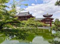宇治 平等院