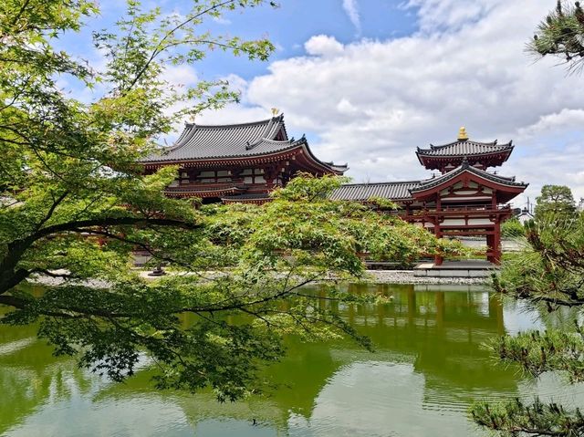 宇治 平等院
