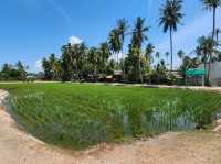 Exploring the hidden gem of Kampong Agong!