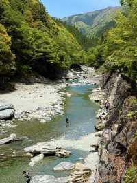 德島｜甜鹹交織木偶串在火爐邊起舞 平氏一族逃亡思鄉的琵琶瀑布