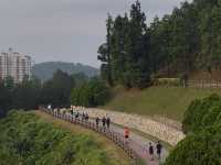 Taman Saujana Hijau: Where Dreams Go to Sweat