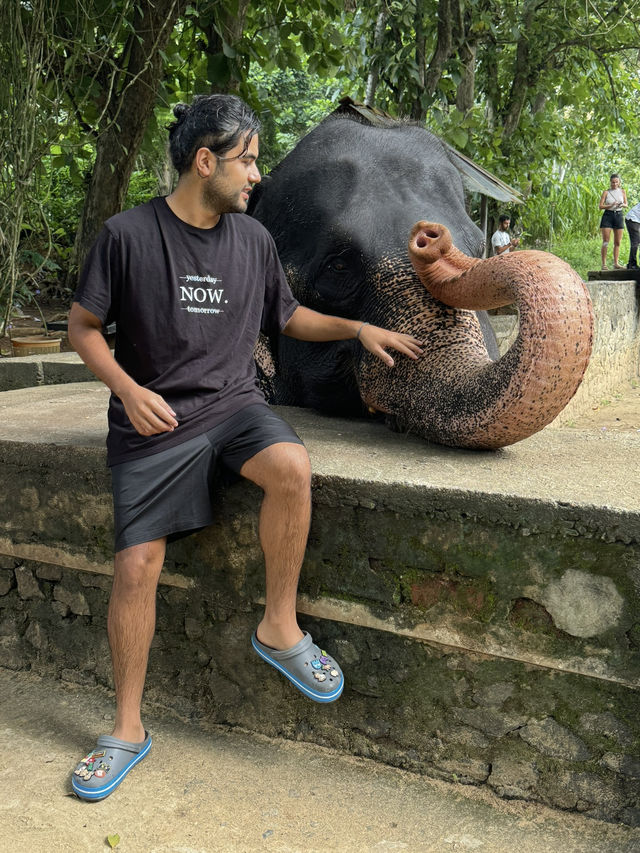 Budget-Friendly Sri Lanka Itinerary (2 Weeks)