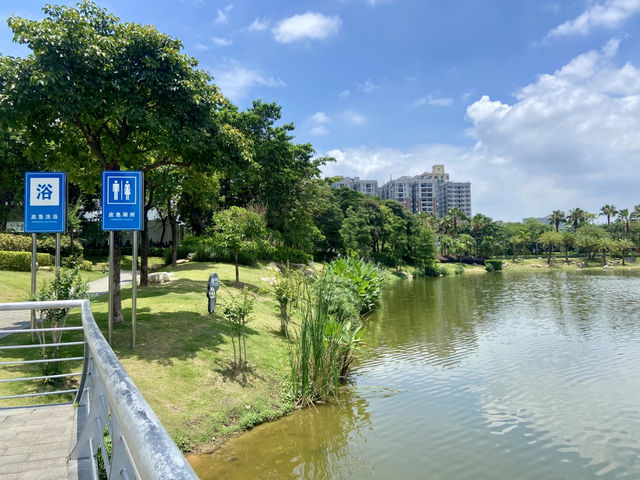 深圳萬豐湖濕地公園✨🌴城市中的自然綠洲🏞️