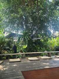 สวนศศิธร ร้านขายต้นไม้ ใจกลางสามโคก