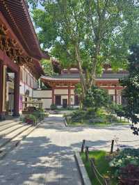 Qingxiu Scenic Mountain - Nanning