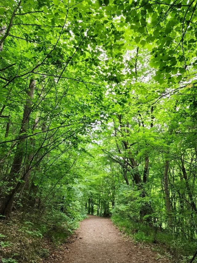 Nature’s Hidden Chill Spot
