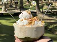 Coconut Dreams & Goat Glee at Chiang Mai’s Hidden Gem!  