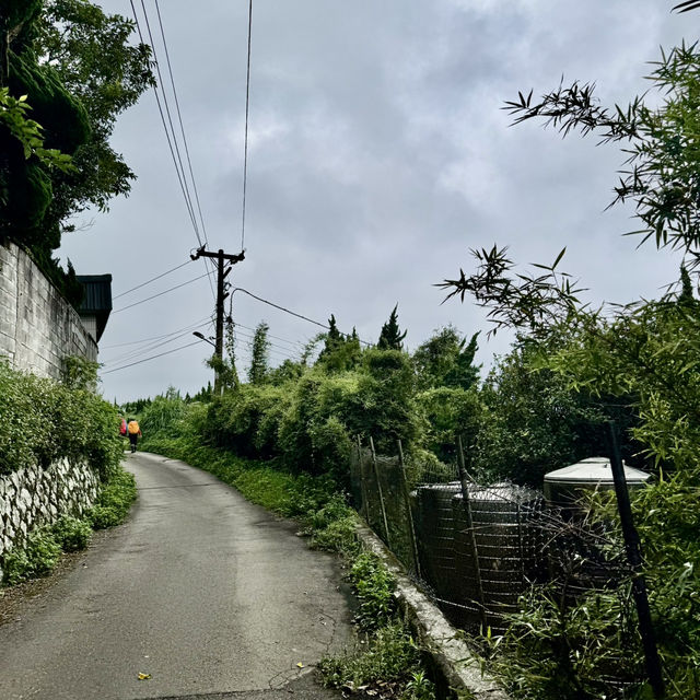陽明山山豬湖山走走