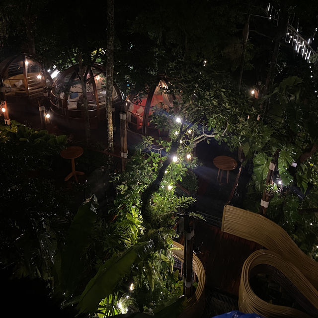 Tree Monkeys Restaurant 