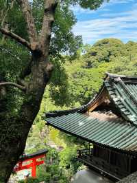 🗻 에노시마에서 후지산 바라보기 ⛩