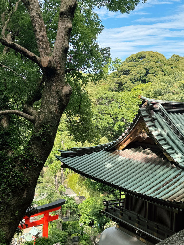 🗻 에노시마에서 후지산 바라보기 ⛩