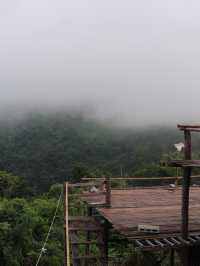 สูดหมอกดอยหลวงเชียงดาวปลายฝนต้นหนาวกัน!!