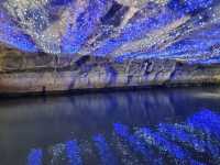 綠色旅遊好去處～冬山河綠舟