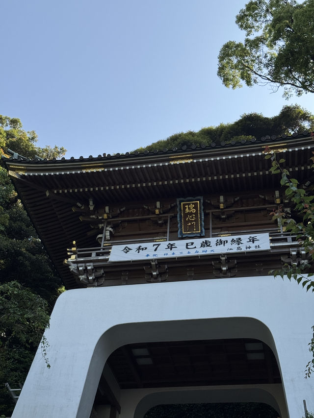 슬램덩크 마을🚃 