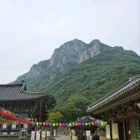 A Day at Baegyangsa Temple