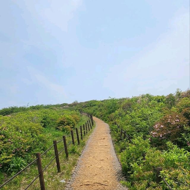 Yeonhwabong Peak Hits Just Right
