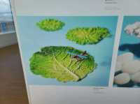 고베공항(Kobe Airport) miniaturelife展(미니어처라이프) 田中達也(타나카타츠야) 