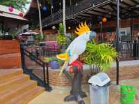 ร้านอาหาร Vibe ดี ในแก่งกระจาน ที่มาแล้วต้องรัก!