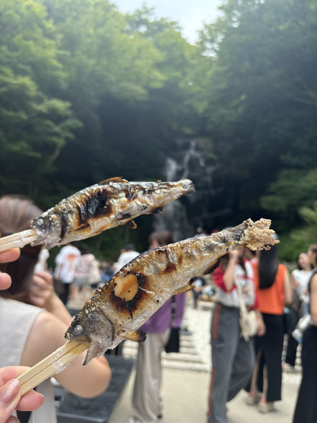 福岡県のおすすめスポット4選！✨