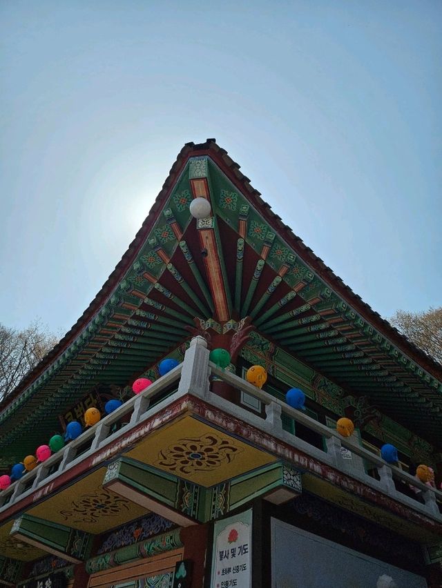 K-붓다빌리지 33m 와불이 있는 경주 감포 명소!