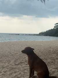 relax with the beach view 