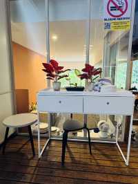 Pineyard Café — A Hidden Forest Dining Experience 